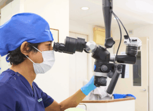 マイクロスコープ|古屋歯科